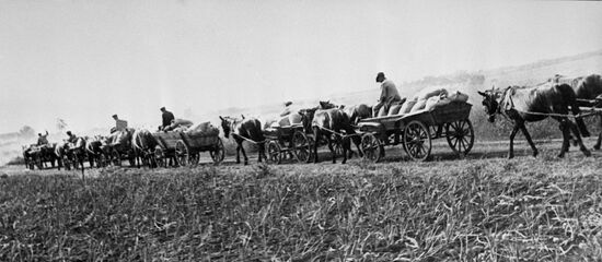 Red Cart campaign
