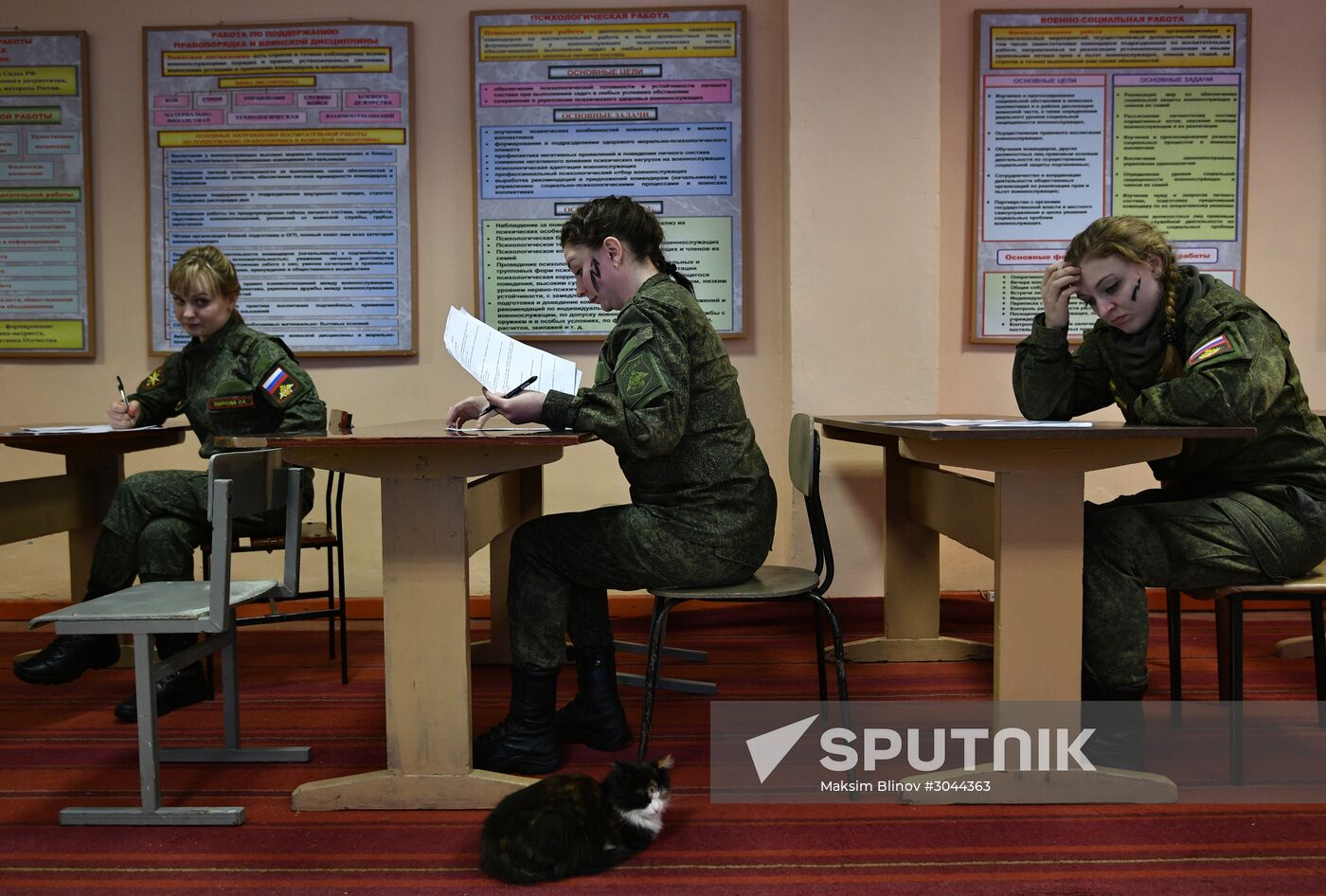 Makeup for Camouflage beauty contest