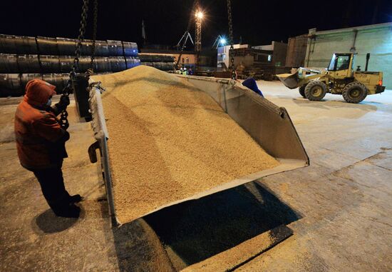 Exporting Russian corn to Japan