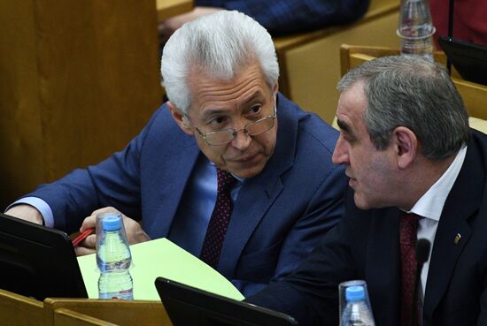 Plenary meeting of the State Duma of the Russian Federation