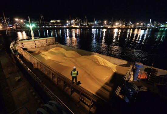 Exporting Russian corn to Japan