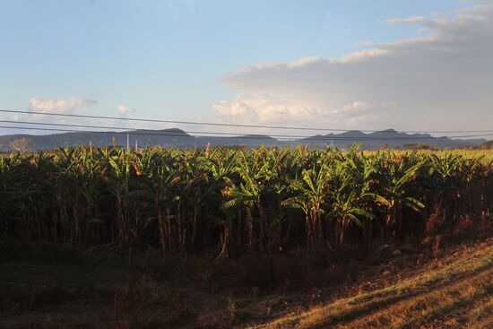 Countries of the world. Cuba
