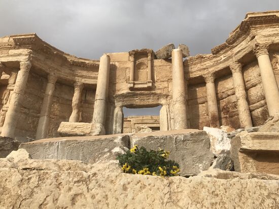 Palmyra recaptured by Syrian Arab Army backed by Russian Air Force