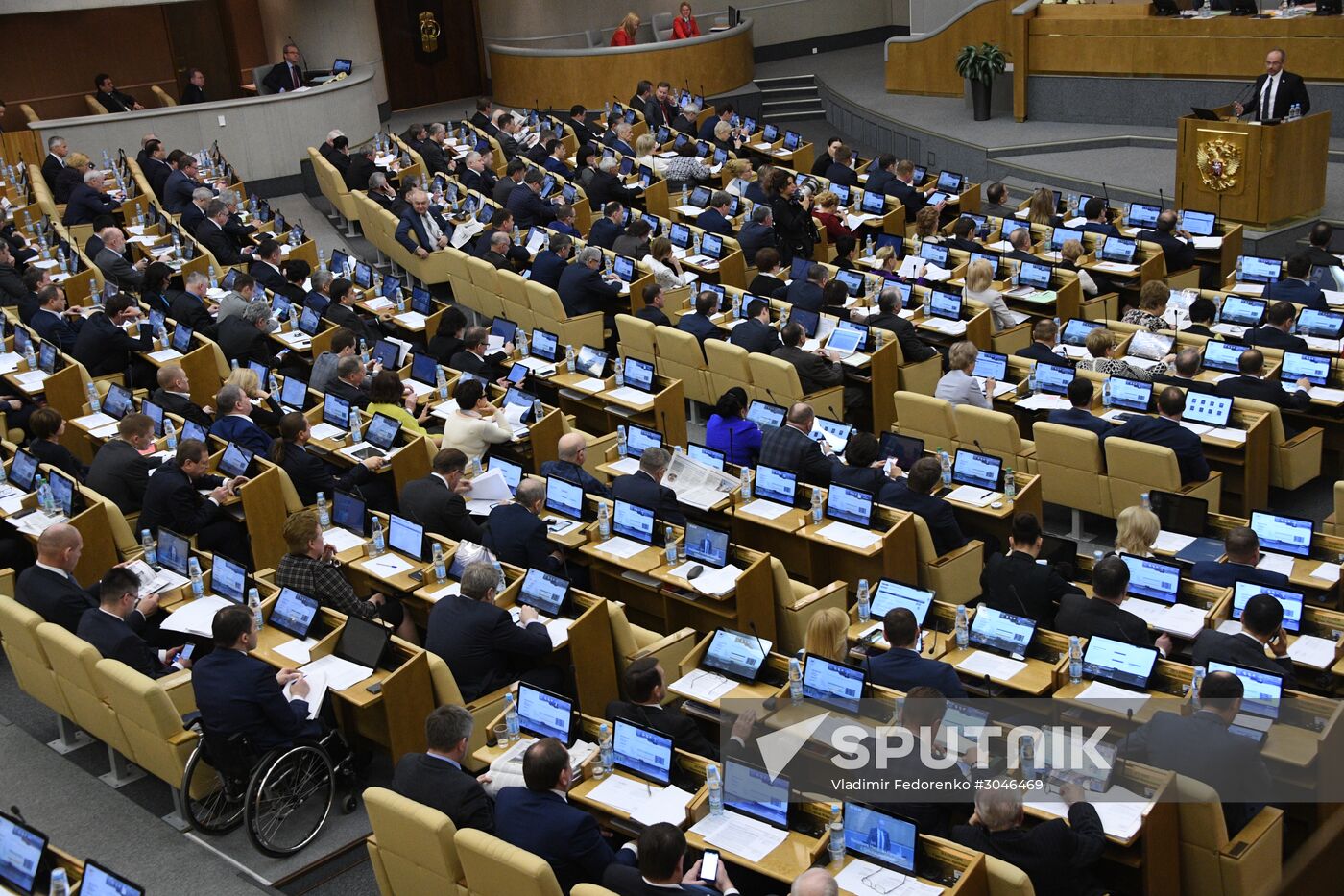 State Duma plenary meeting