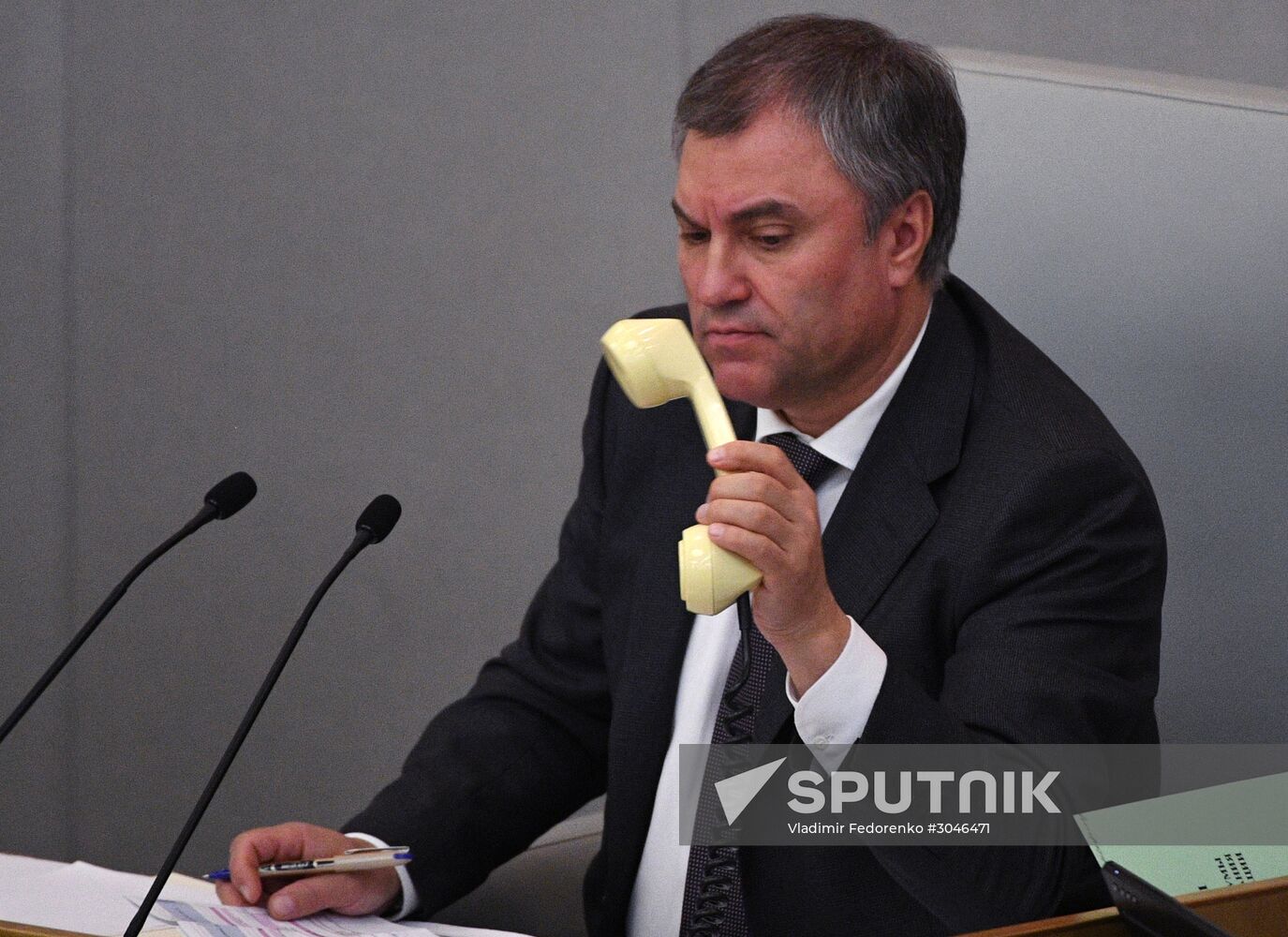 State Duma plenary session