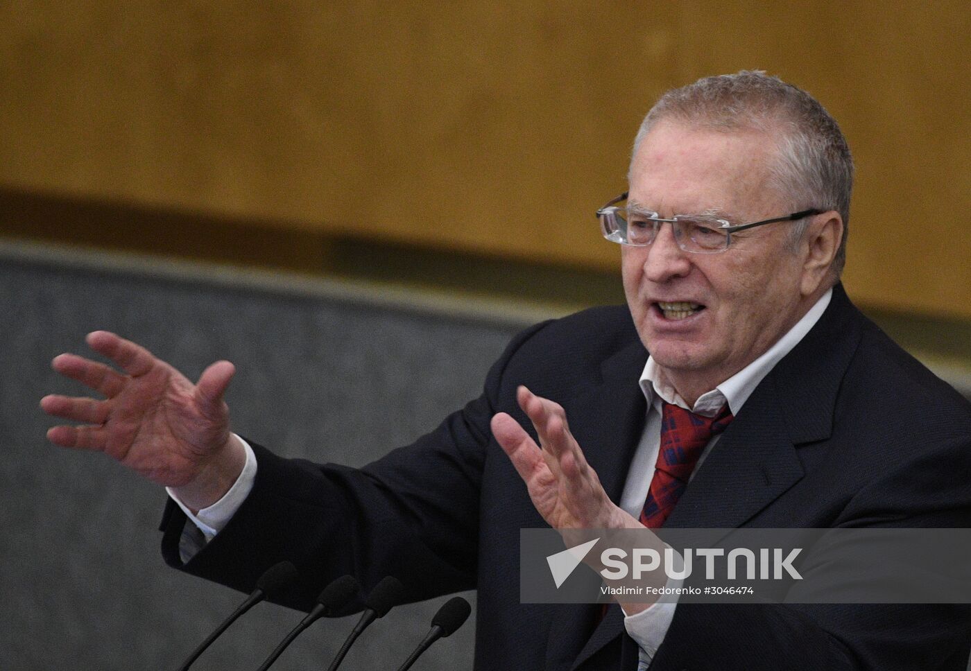 State Duma plenary session