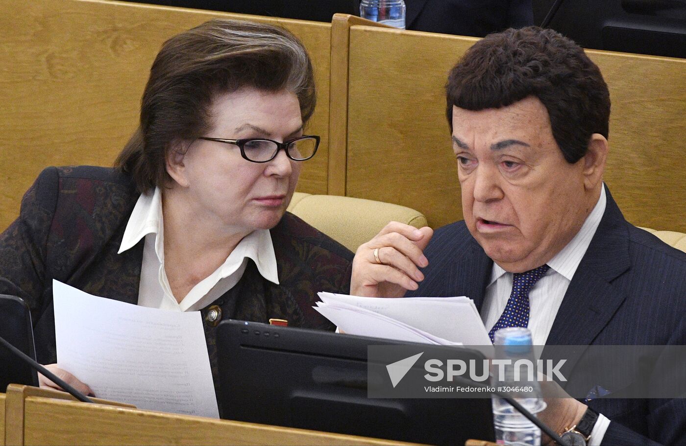 State Duma plenary session