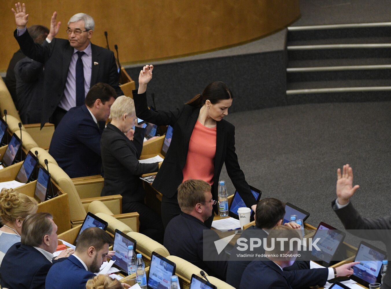 State Duma plenary session