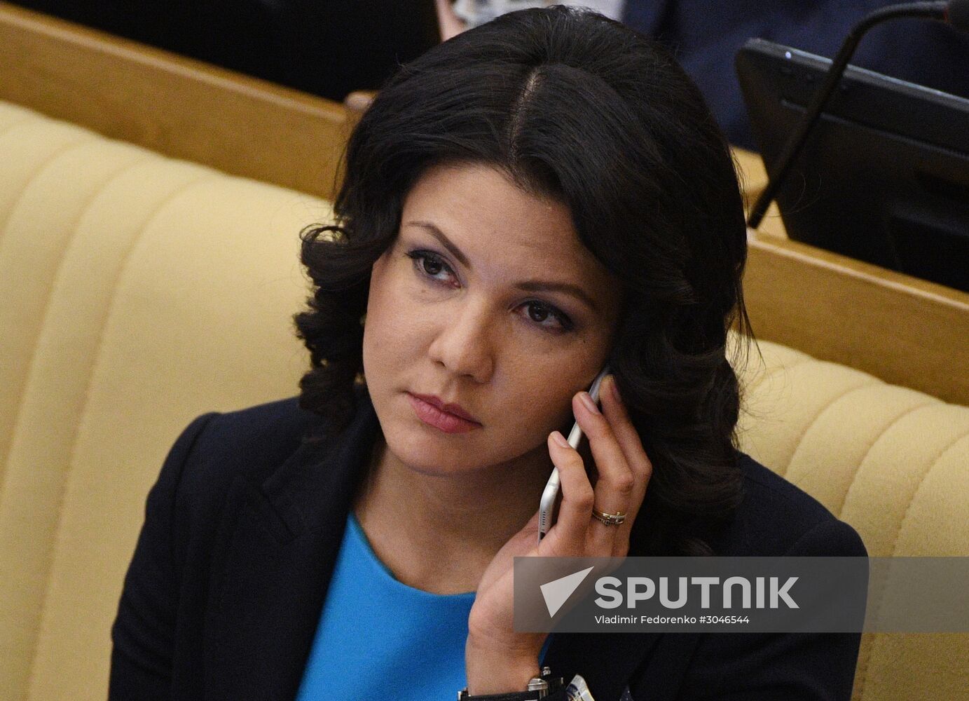 State Duma plenary session