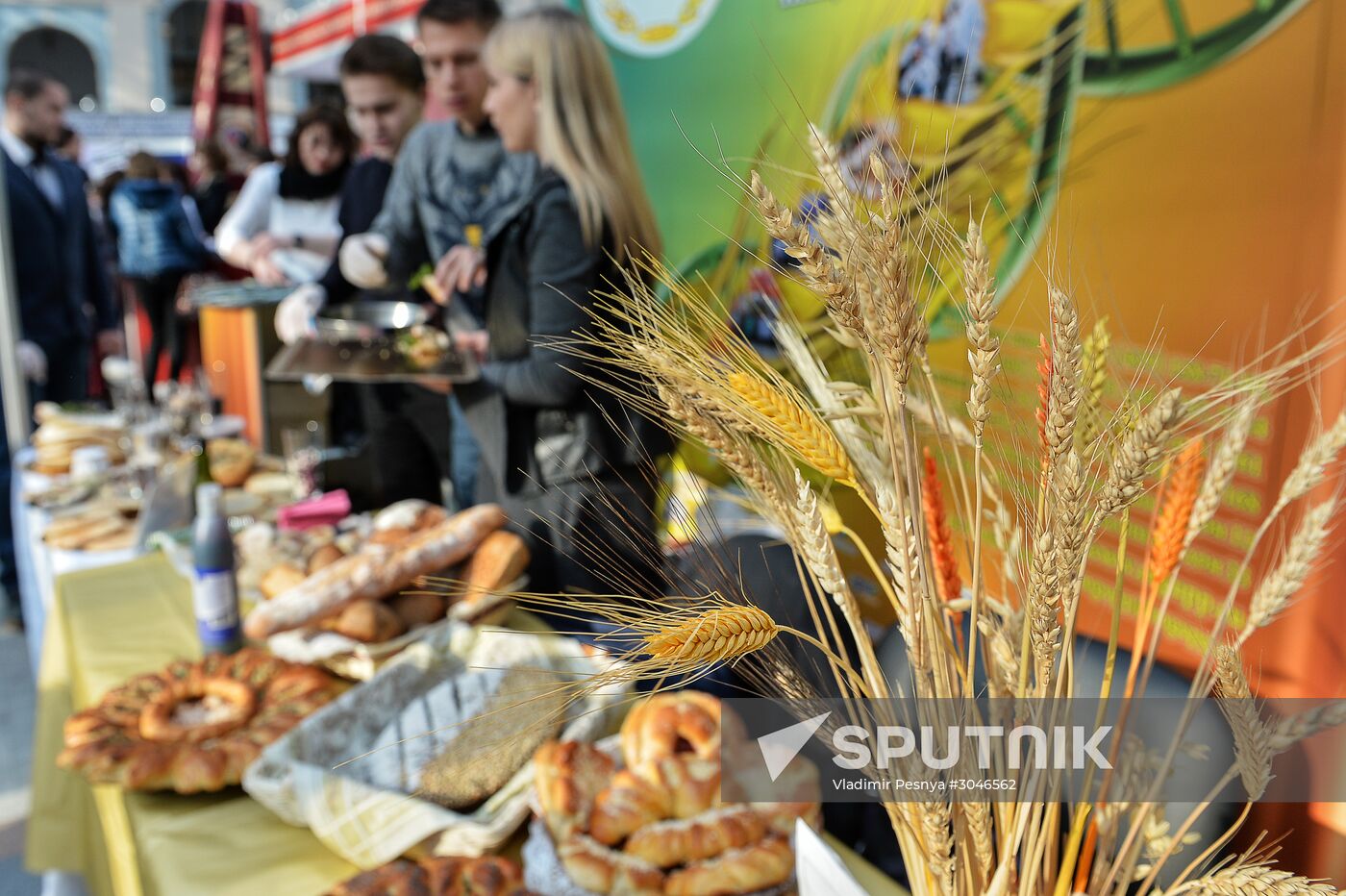 45th Moscow International Exhibition "Education and Career"