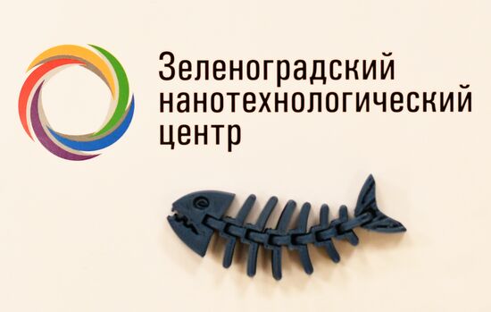 Zelenograd Nanotechnology Center