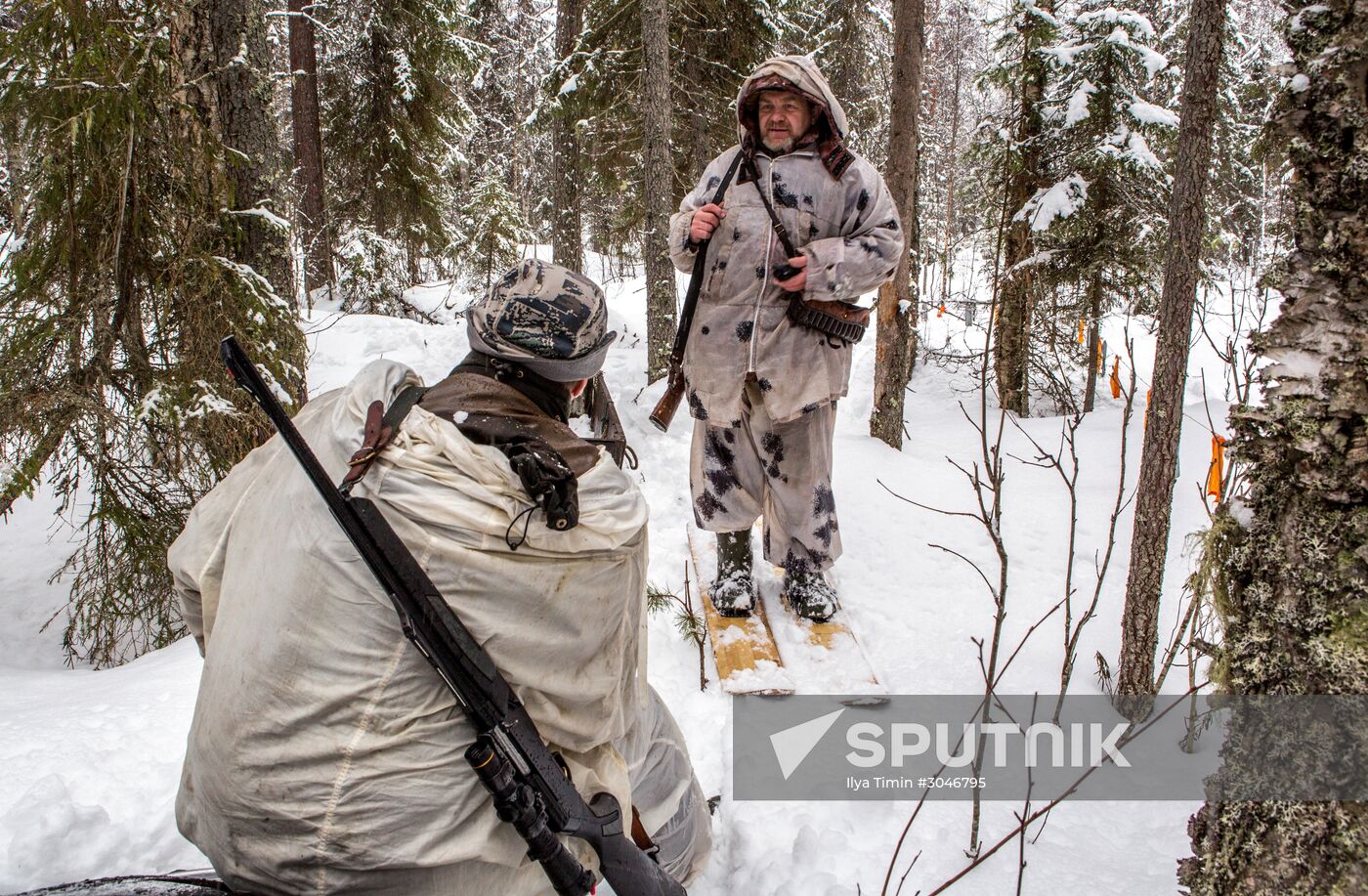 Wolf hunting in Karelia