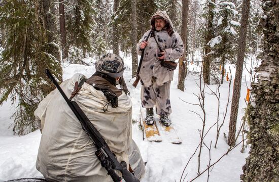 Wolf hunting in Karelia
