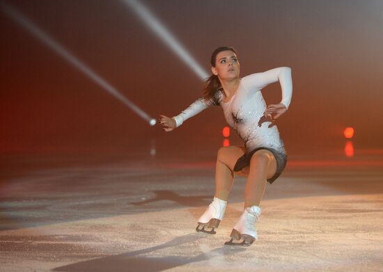 Ice Age show in Sochi