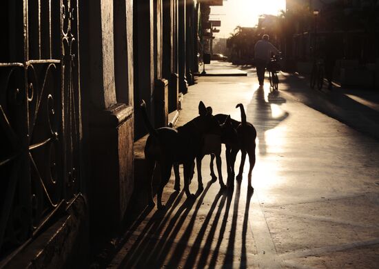 Countries of the world. Cuba