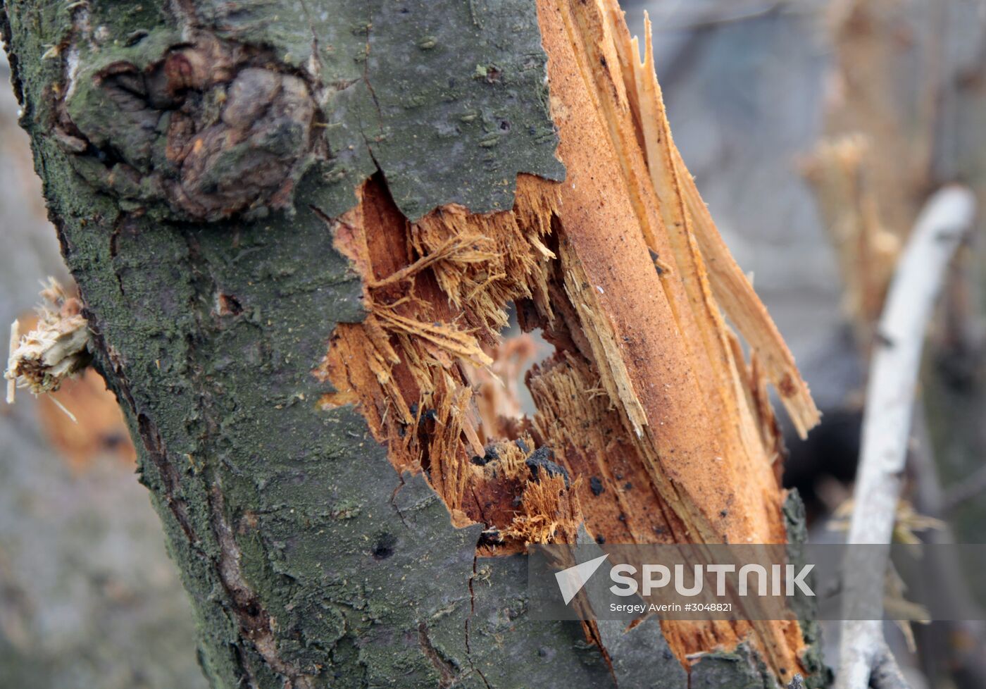 Aftermath of shelling in Luganskoye, Donetsk Region