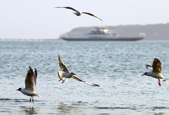 The Kerch ferry crossing