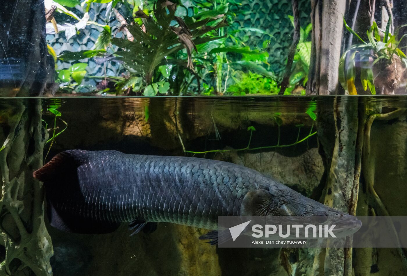 St. Petersburg Aquarium