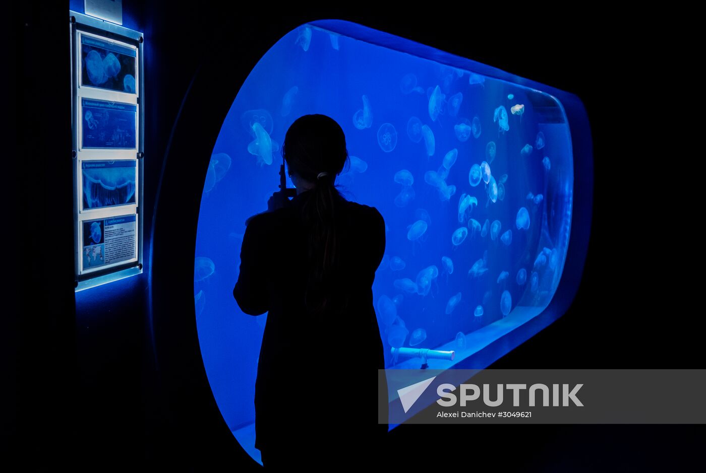 St. Petersburg Oceanarium