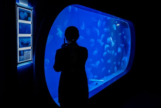 St. Petersburg Oceanarium