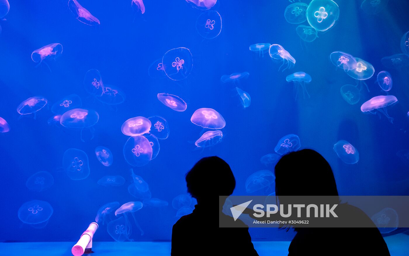 St. Petersburg Oceanarium