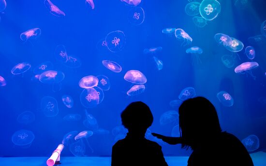 St. Petersburg Oceanarium