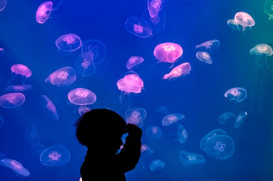 St. Petersburg Oceanarium