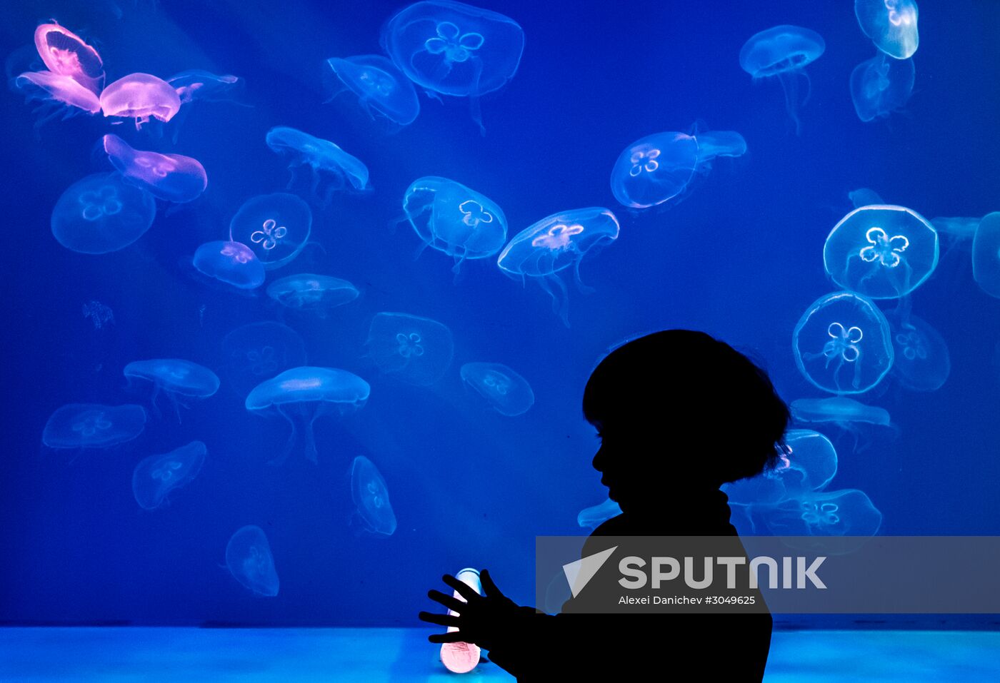 St. Petersburg Oceanarium