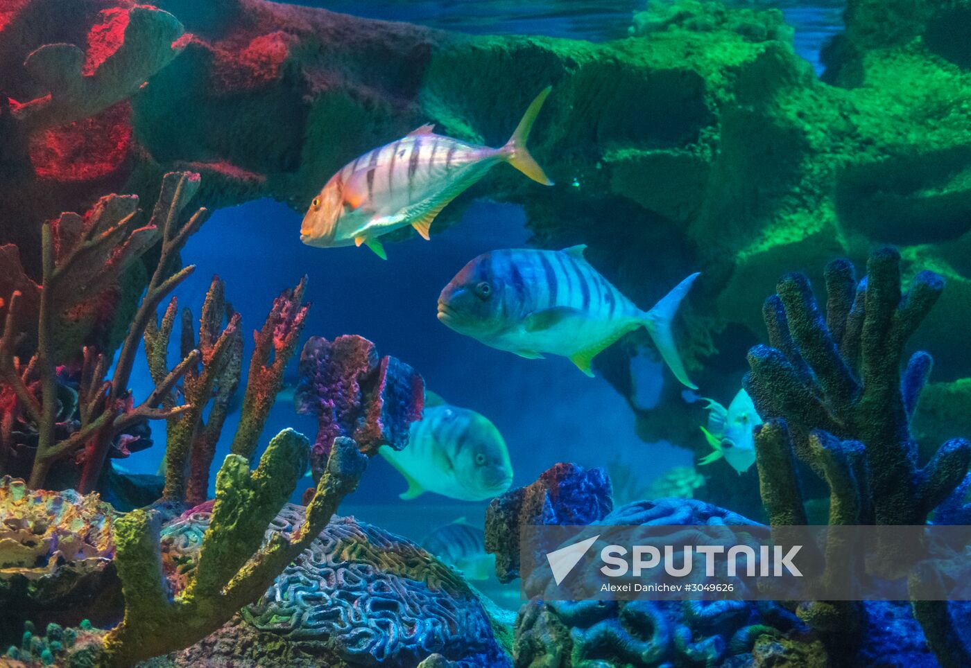 St. Petersburg Aquarium