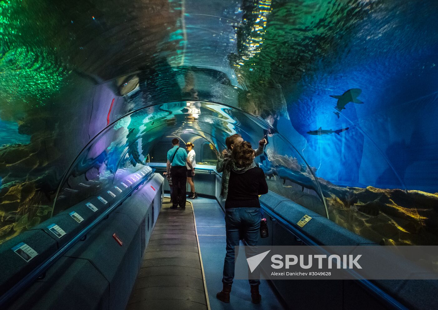 St. Petersburg Oceanarium