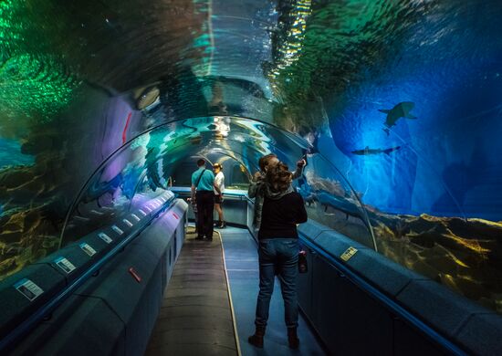St. Petersburg Oceanarium