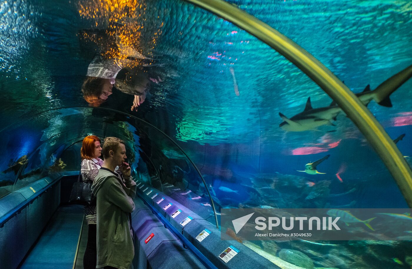 St. Petersburg Oceanarium