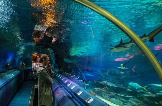 St. Petersburg Oceanarium