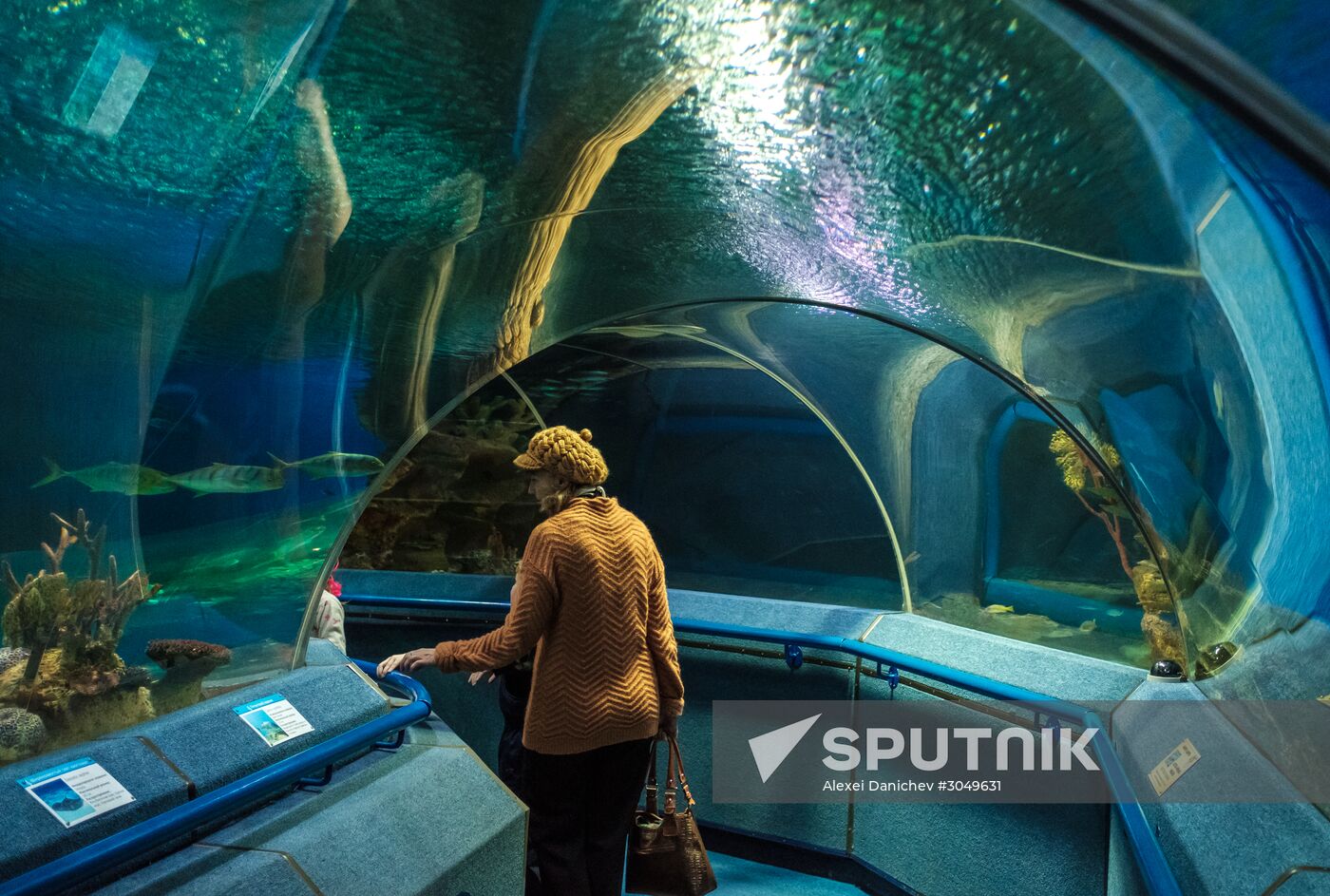 St. Petersburg Oceanarium