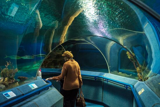 St. Petersburg Oceanarium