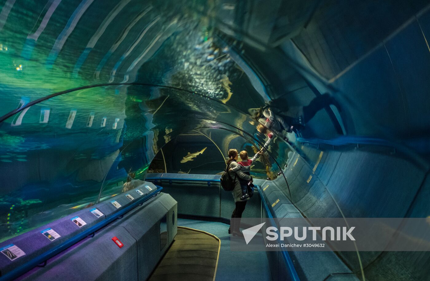St. Petersburg Oceanarium