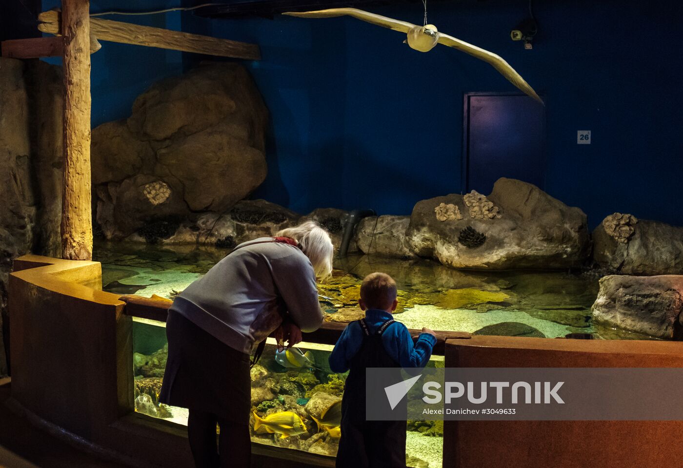 St. Petersburg Oceanarium