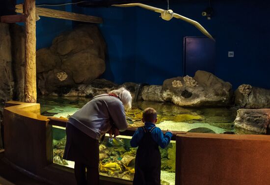 St. Petersburg Oceanarium