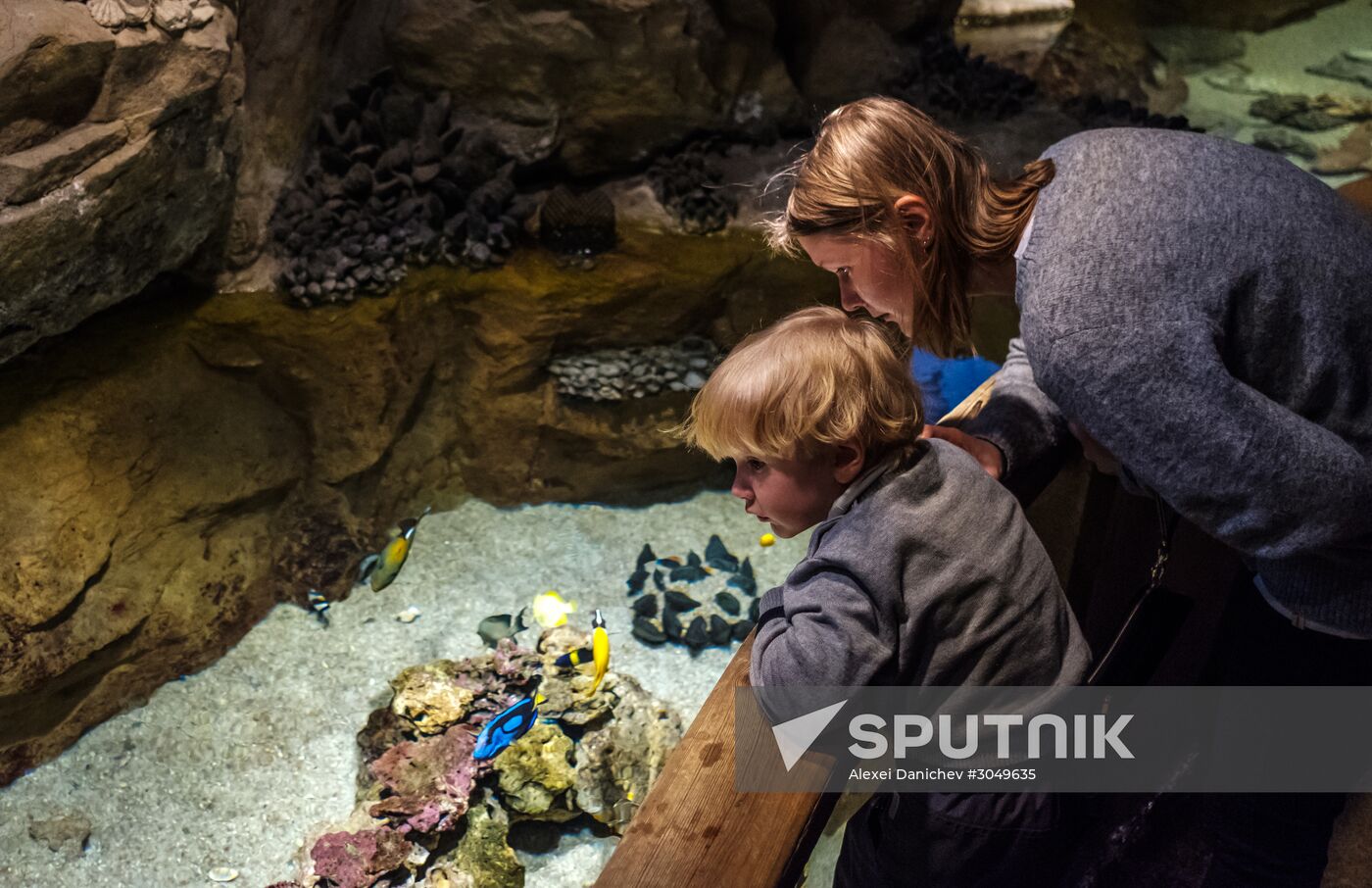St. Petersburg Oceanarium
