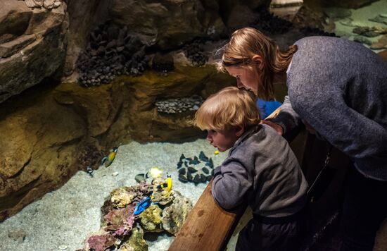 St. Petersburg Oceanarium