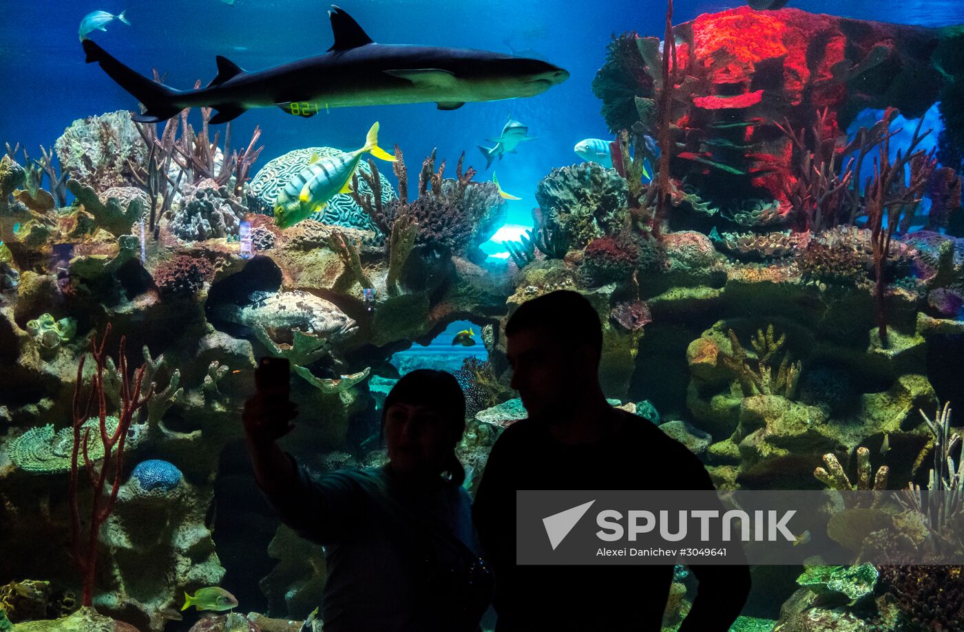 St. Petersburg Oceanarium