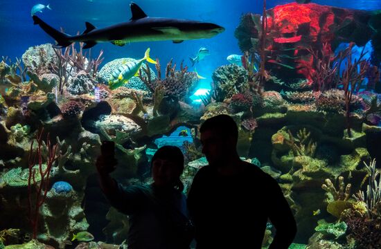 St. Petersburg Oceanarium