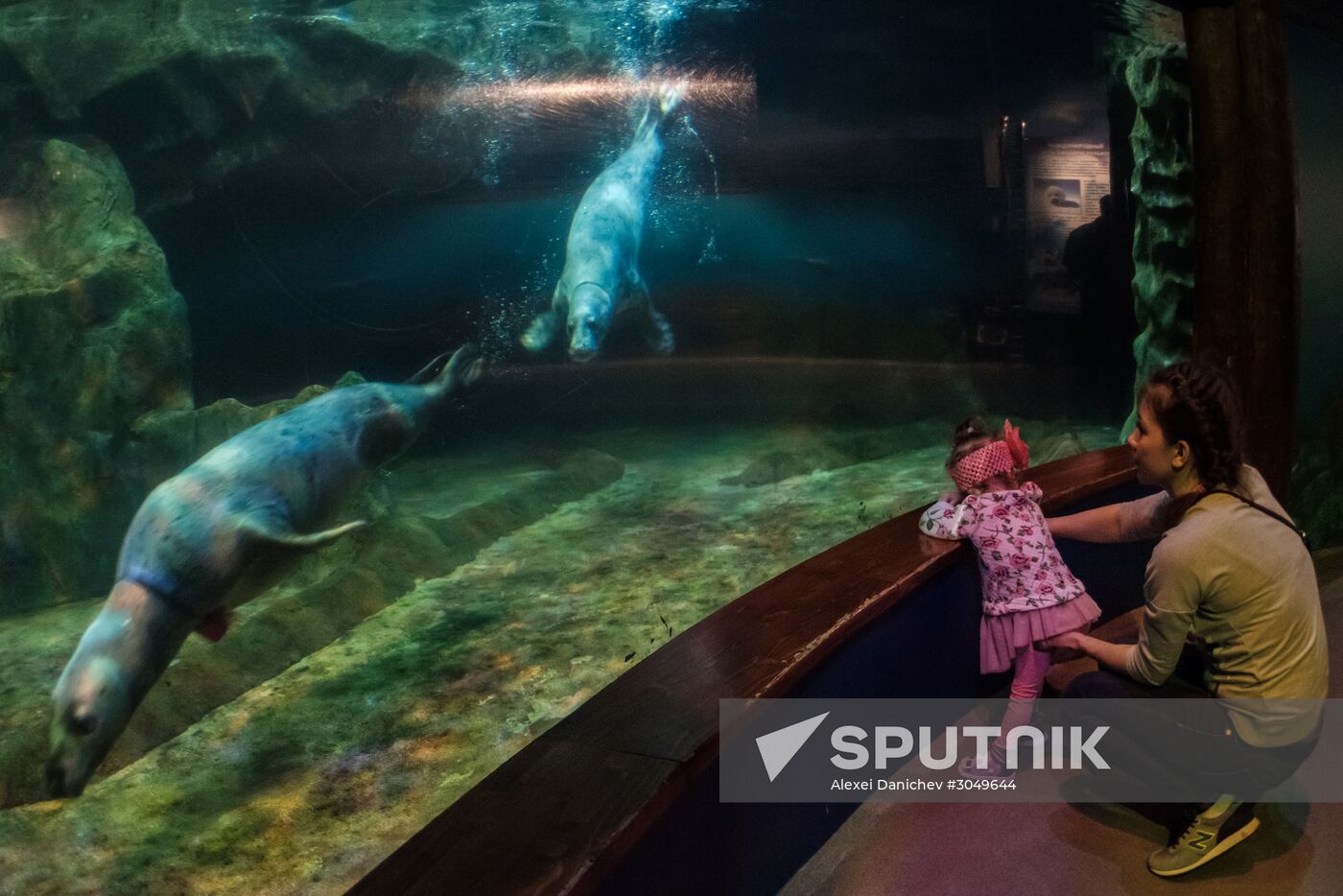 St. Petersburg Oceanarium