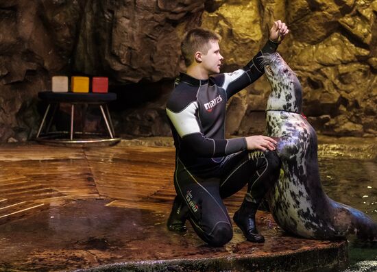 St. Petersburg Oceanarium