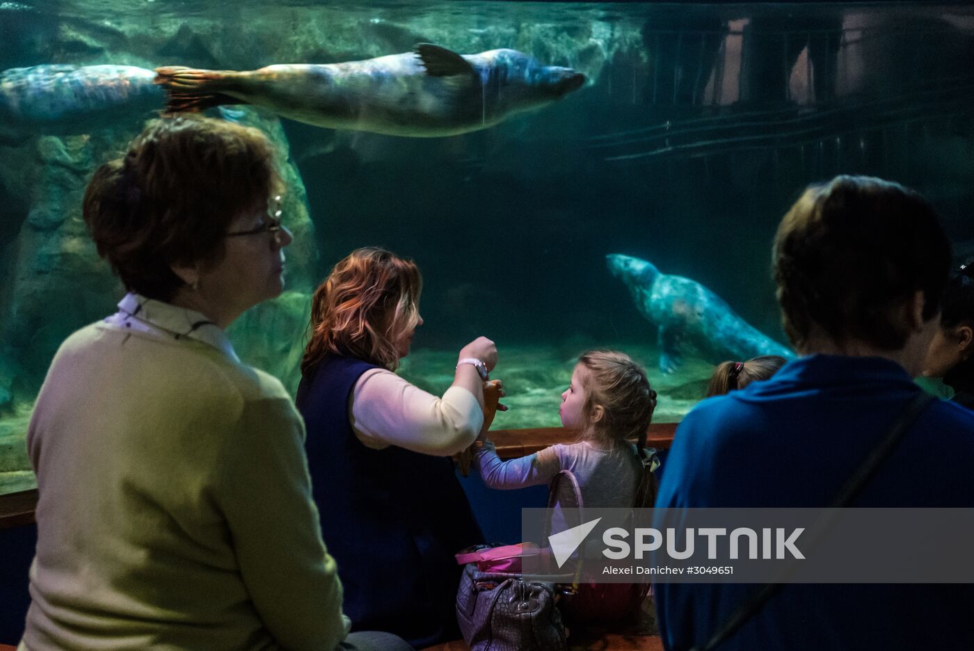 St. Petersburg Oceanarium