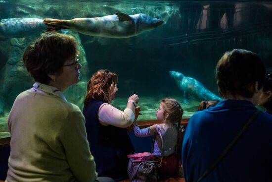 St. Petersburg Oceanarium