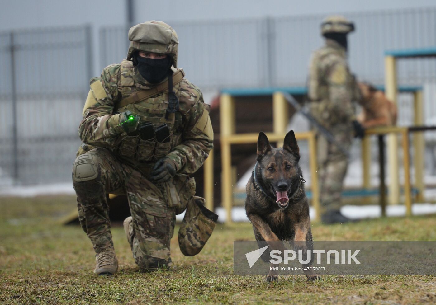 Training of canine services of National Guard Troops Service