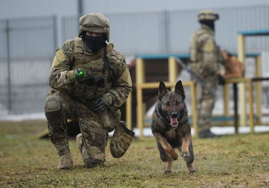 Training of canine services of National Guard Troops Service
