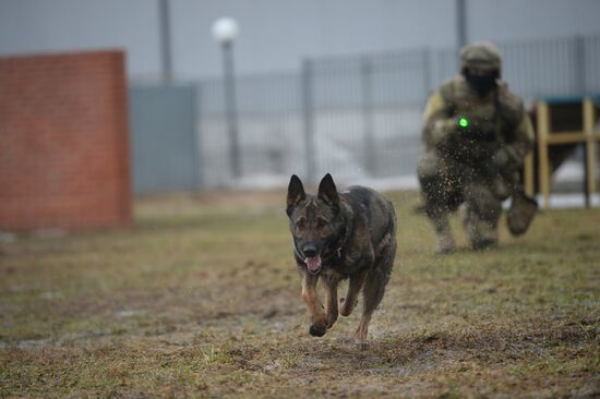 Training of canine services of National Guard Troops Service