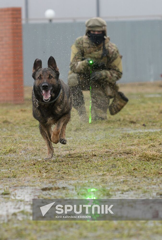 Training of canine services of National Guard Troops Service